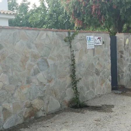 La Orquidea Morada * コニル・デ・ラ・フロンテラ