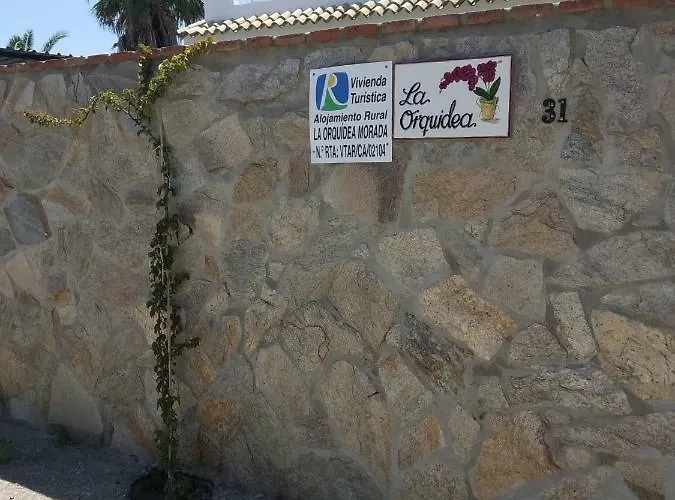 La Orquidea Morada * Conil De La Frontera