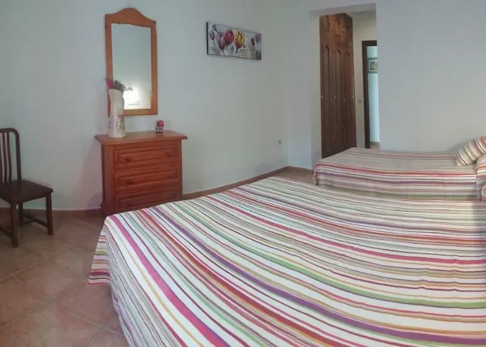 La Orquidea Morada Conil De La Frontera