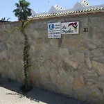 La Orquídea Morada * Conil De La Frontera