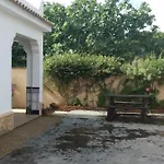 La Orquídea Morada