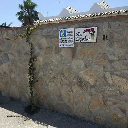 La Orquidea Morada * Коніль-де-ла-Фронтера