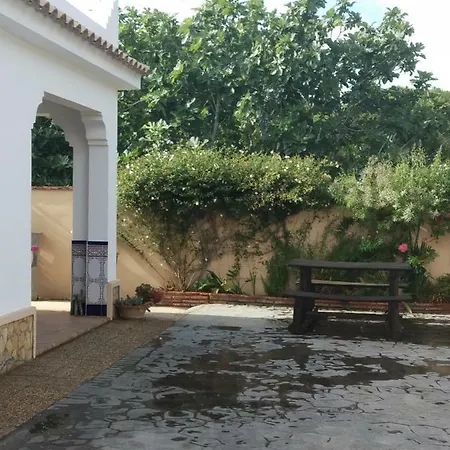 La Orquidea Morada