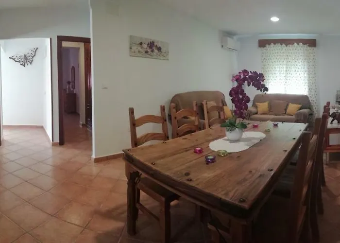 La Orquidea Morada Conil De La Frontera