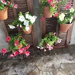 La Orquidea Morada Casa vacanze Conil De La Frontera