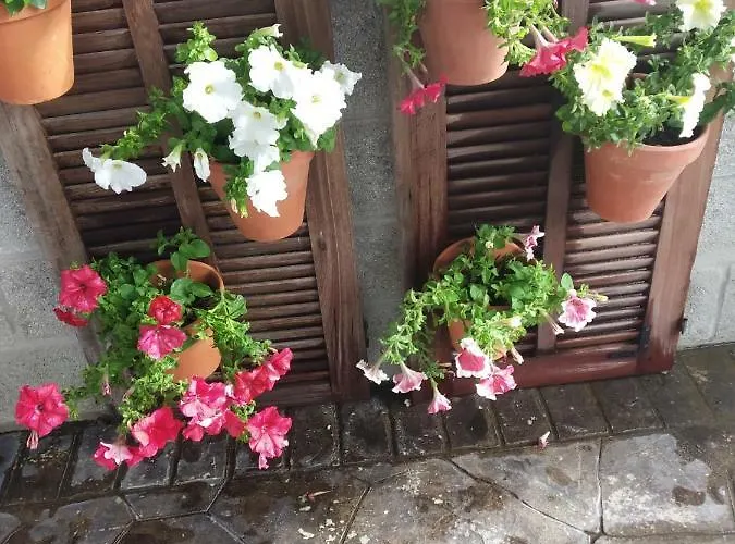 La Orquidea Morada Prázdninový dům Conil De La Frontera